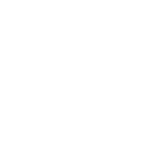 zappyn logo